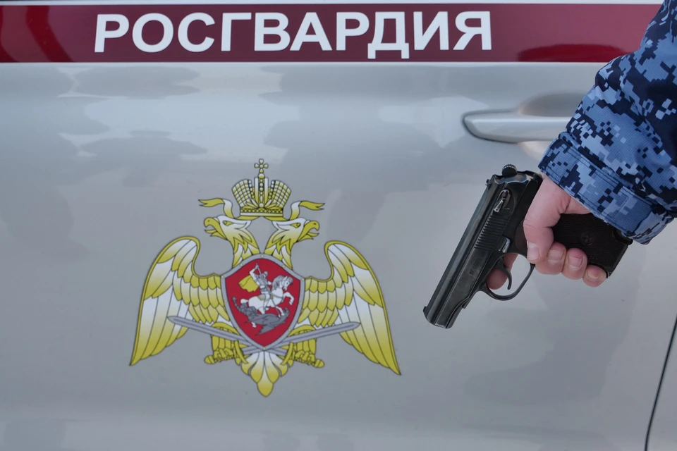 Теперь с хулиганом будет разбираться полиция.