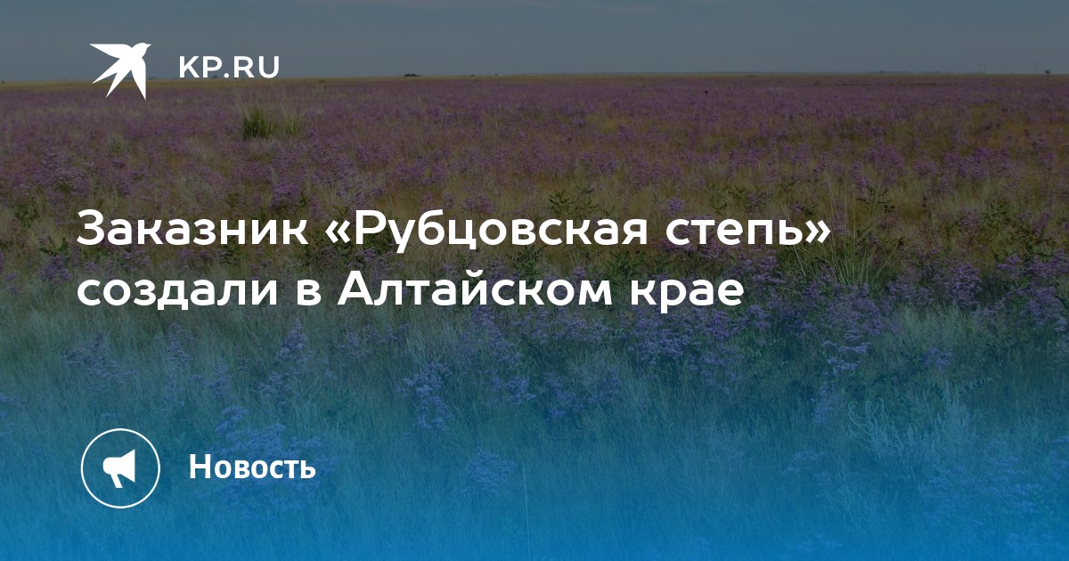 Заказник «Рубцовская степь» создали в Алтайском крае - KP.RU