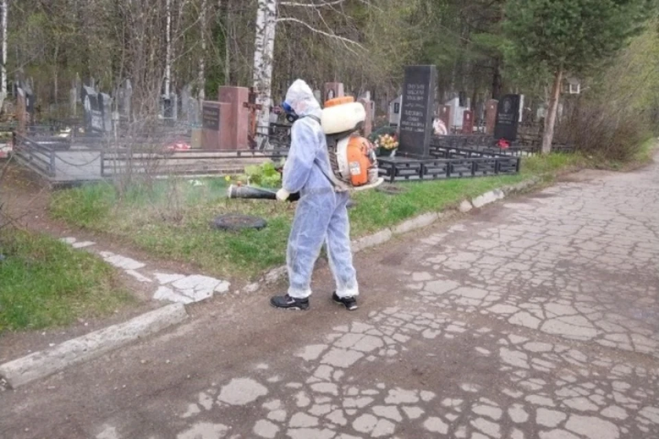 Всего в планах к июню обработать 282,3 гектара.