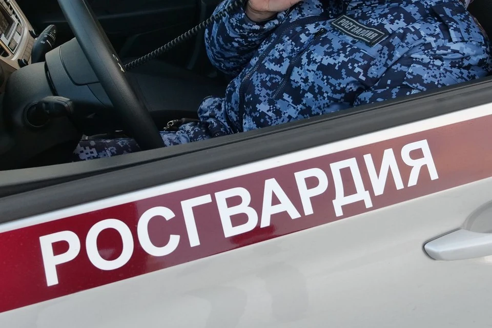 В Росгвардии сообщили, что это планово-профилактические мероприятия.