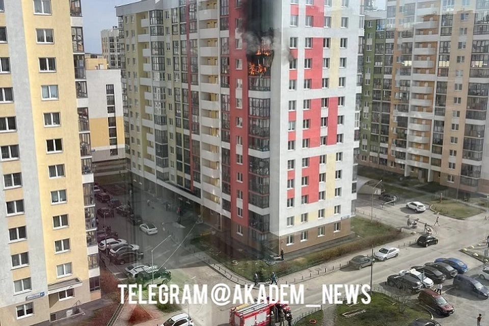 Фото: Telegram-канал "Академический. Новости. Екатеринбург"