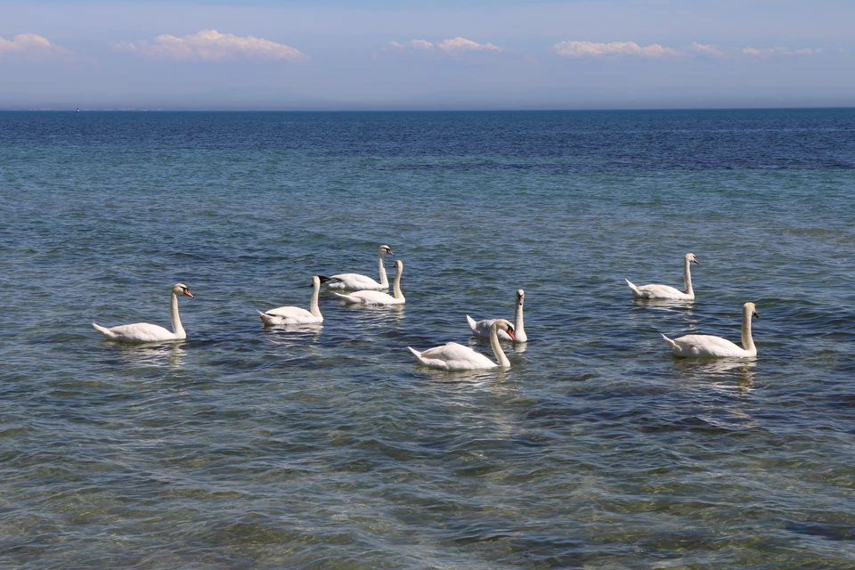 Вода в Черном море прогрелась до плюс 15 градусов.