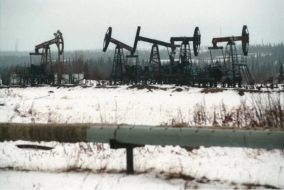 Польский Orlen раскрыл ежедневные убытки из-за отказа от российской нефти