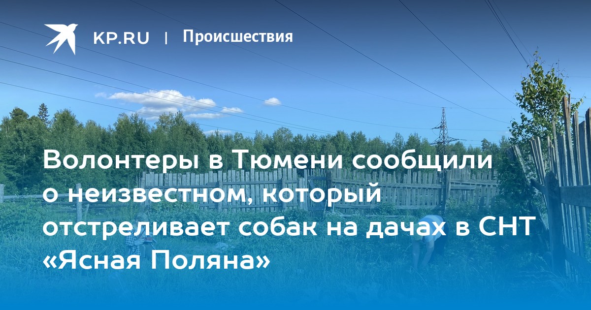 Снт Ясная Поляна Тюмень Купить