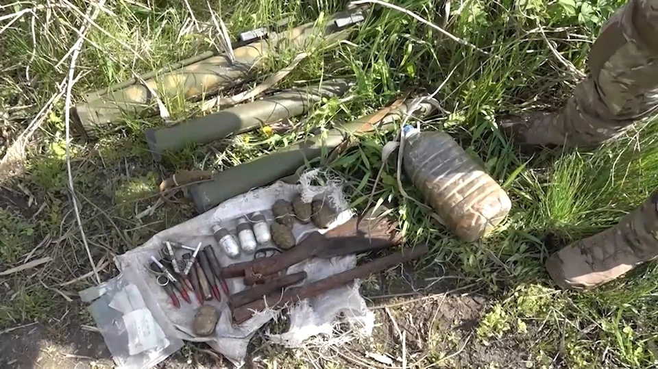 Оружие и боеприпасы обнаружены в лесном массиве. Фото - скриншот с видео