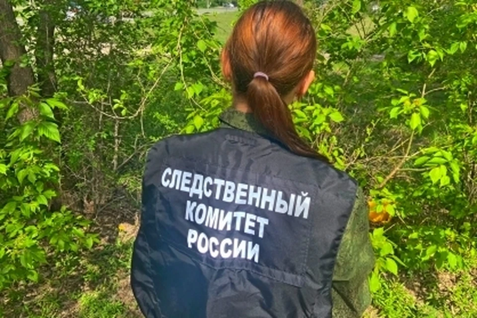 Фото: СК Оренбургской области