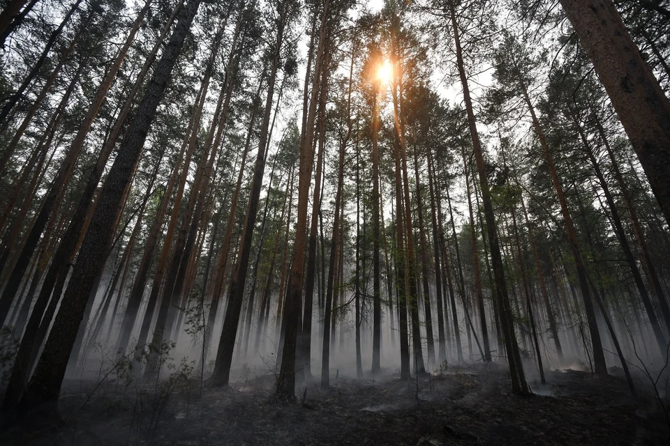 Ситуация с пожарами в Свердловской области остается тяжелой