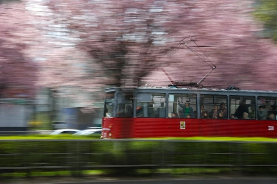 Движение отменят семи трамваям. Фото: Виталий Тимкин