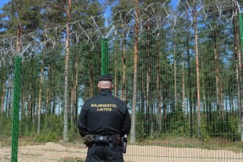 Финляндия строит забор по границе с Ленобластью. Фото: СОЦСЕТИ