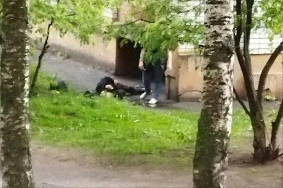 Из окна квартиры на третьем этаже упал ярославец. ФОТО: группа "Интересный Ярославль" ВКонтакте