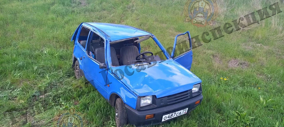 В Куркинском районе Тульской области автомобиль СеАЗ опрокинулся в кювет