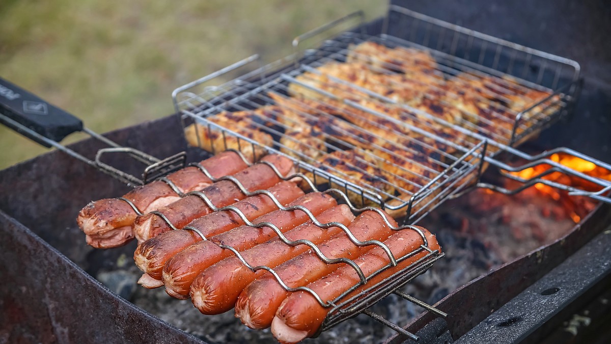 Шашлыки вне закона: где можно жарить мясо на углях в Новосибирске, чтобы не  получить штраф - KP.RU