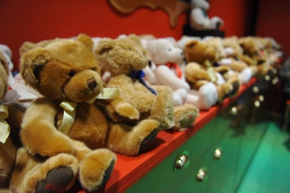 За продажу мишек Teddy оштрафовали предпринимателя из Хабаровска