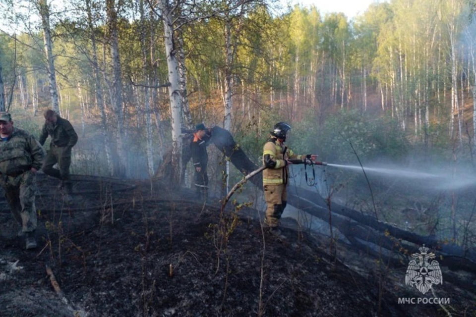 Огонь распространился на площади в 270 гектаров. Фото: ГУ МЧС по Свердловской области