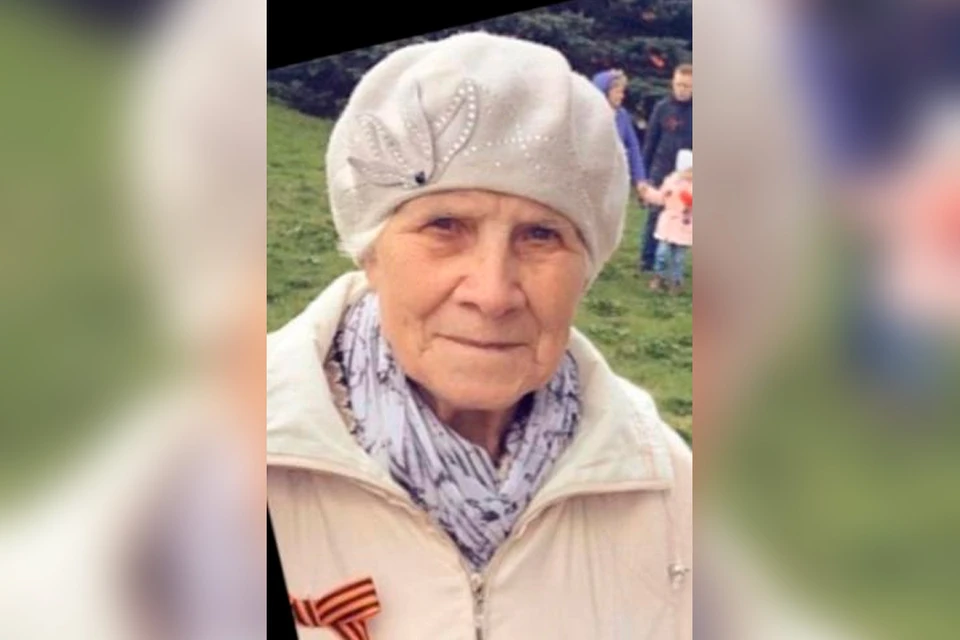 Без вести пропавшую 82-летнюю пенсионерку ищут волонтеры. Фото: vk.com/lizaalert_piter