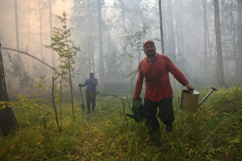 Площадь лесных пожаров за прошедшие сутки уменьшилась в три раза