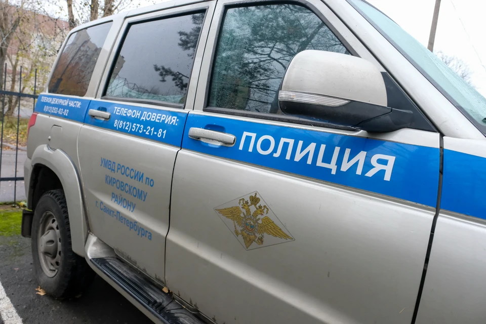 Сотрудники полиции Пушкинского района разыскивают водителя, сбившего 9-летнего ребенка во дворе дома