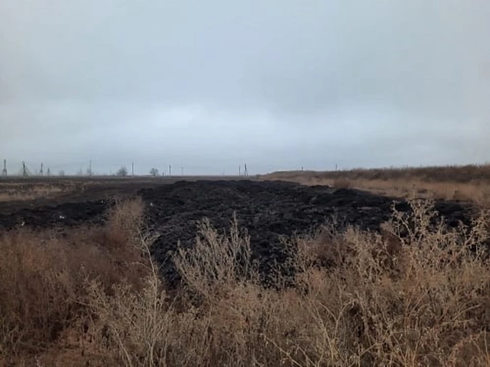 В Волгоградской области птицефабрике экс-депутата не удалось оспорить штраф в 1,2 млн за ущерб почве