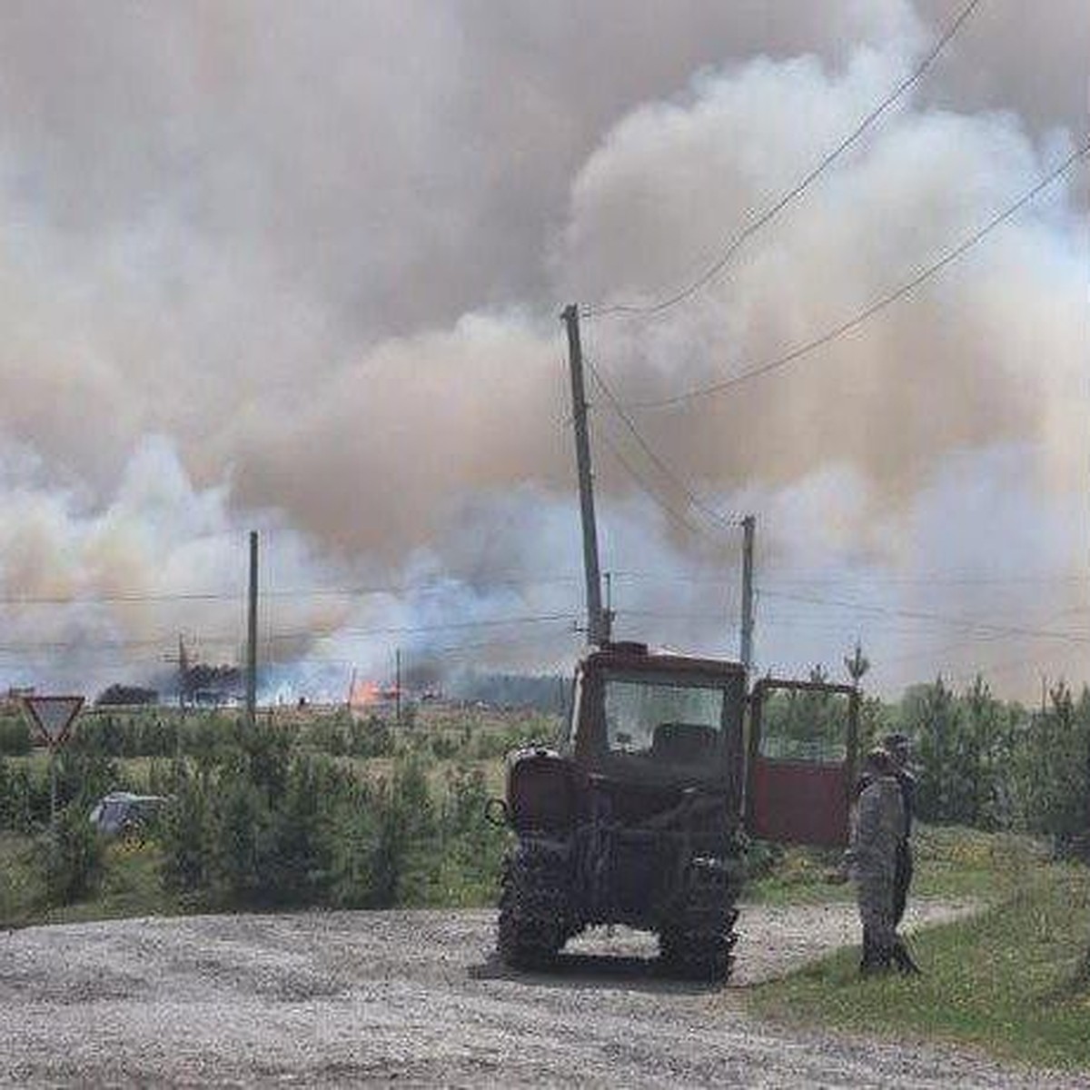 В Челябинской области выяснили причину крупного пожара у поселка Вязовая -  KP.RU