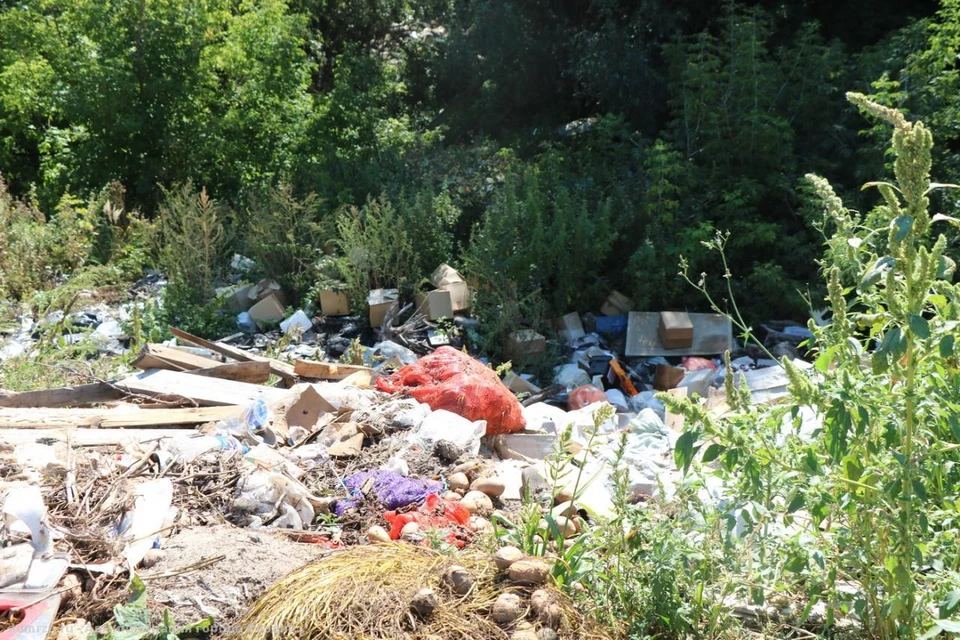 Одно из скоплений мусора в Кузьмином овраге. Фото: admrzn.ru