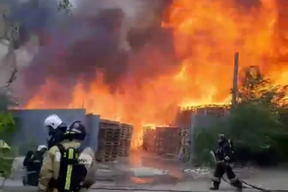 Скриншот видео