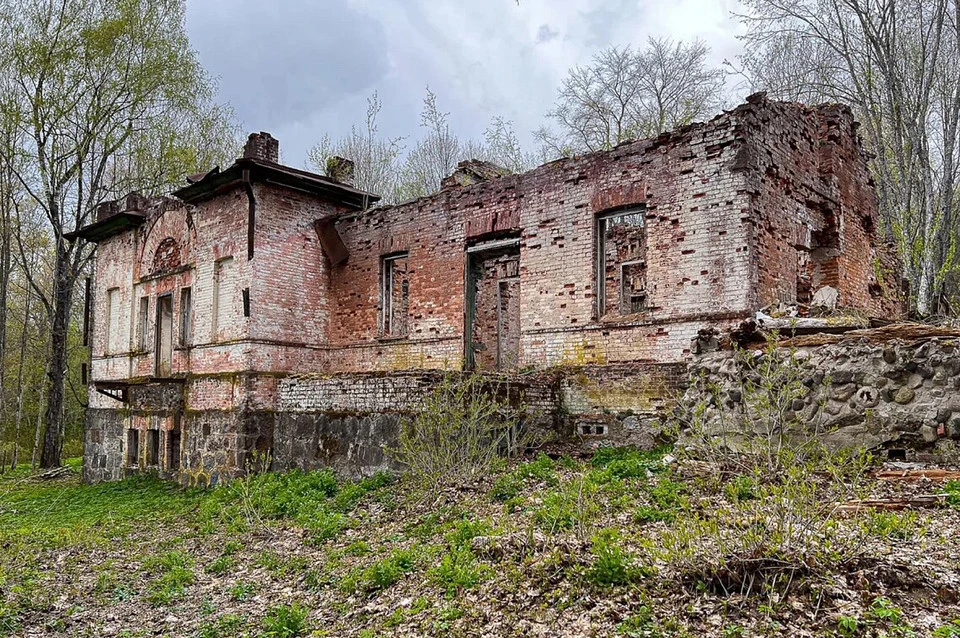 Руины усадьбы Куропаткина.