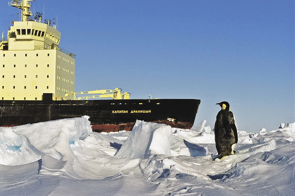 Попал в полярные широты - гордись. Не попал - радуйся! Фото: Konrad WOTHE/Global Look Press