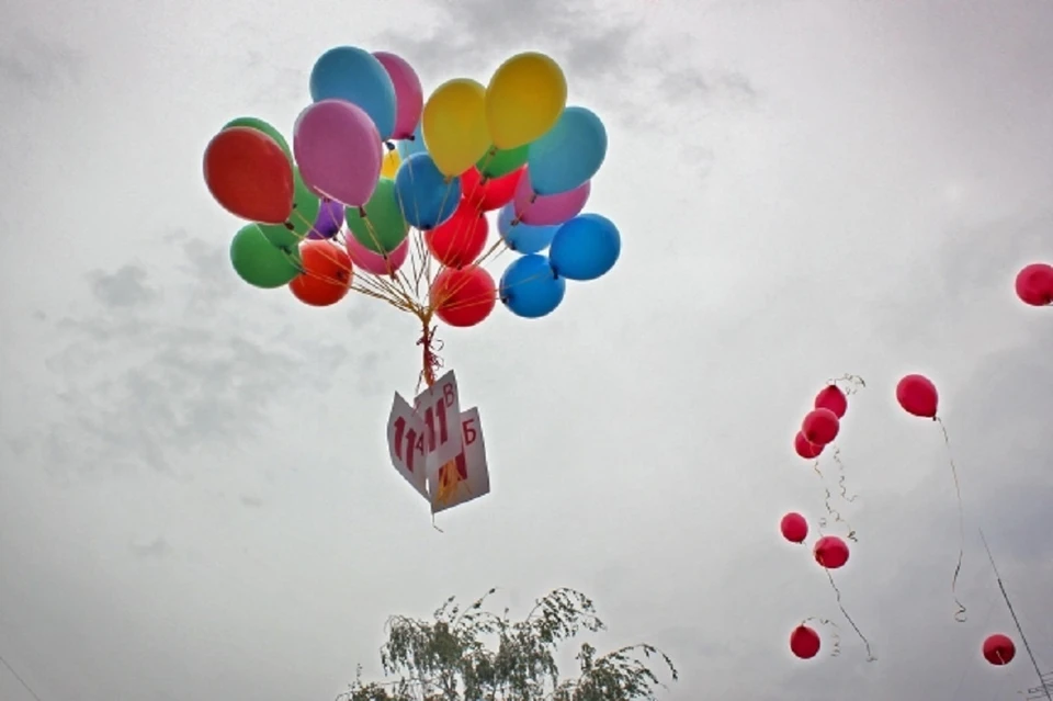 В Минприроды Новосибирской области призвали выпускников не запускать в небо воздушные шары.