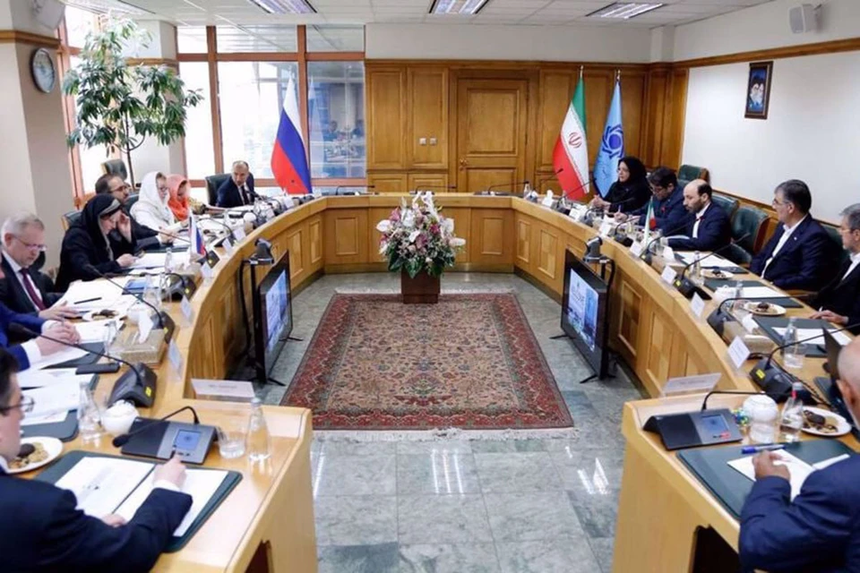 Председатель российского ЦБ Эльвира Набиуллина вчера посетила Тегеран. Там она встретилась со своим коллегой Мохаммадом Резой Фарзином.