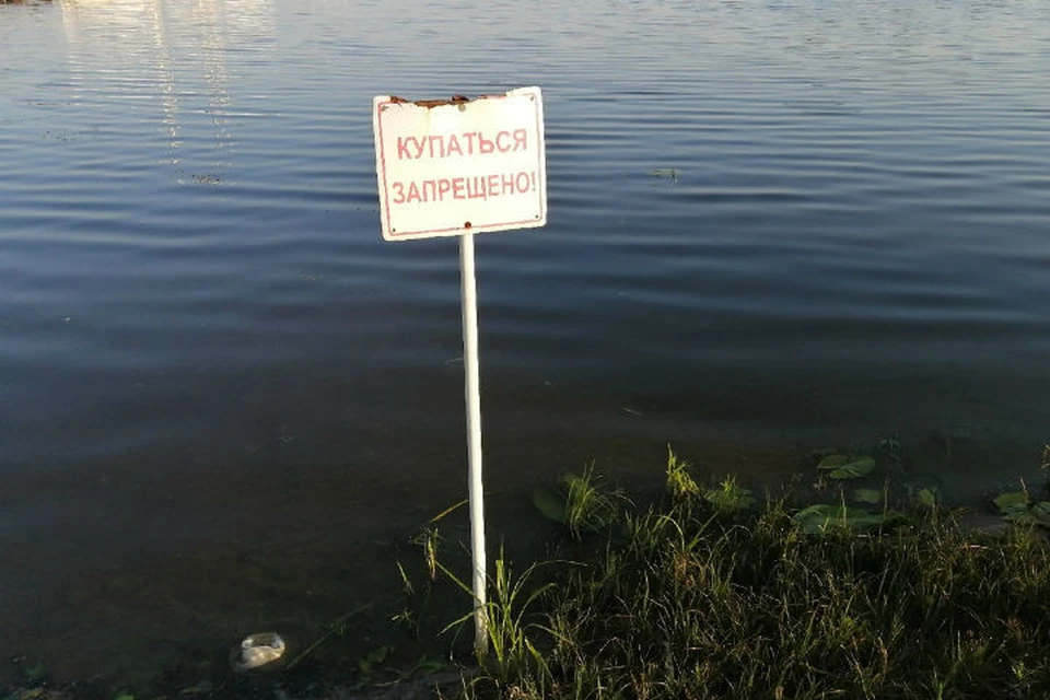 В Ярославской области штраф за купание в неположенных местах составит до тысячи рублей.