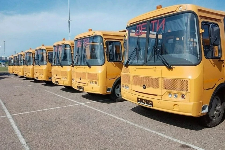 На Кубани школьные автобусы будут бесплатно ездить по платным дорогам Фото: admkrai.krasnodar.ru