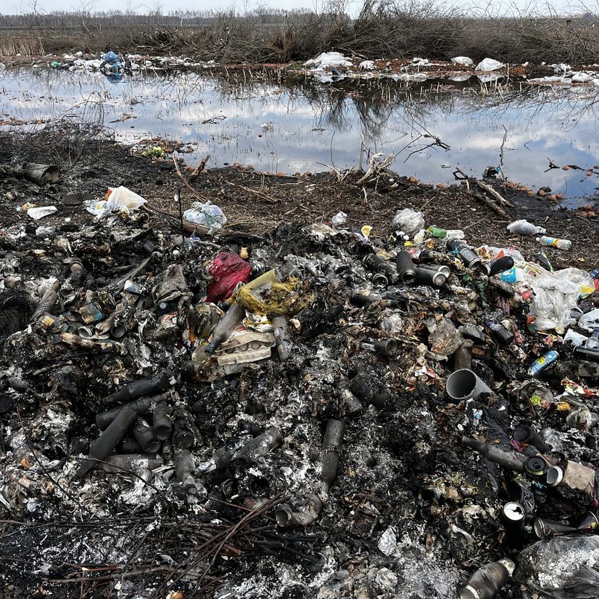 В Петровском районе выявлено загрязнение почвы из-за свалки строительного  мусора - KP.RU