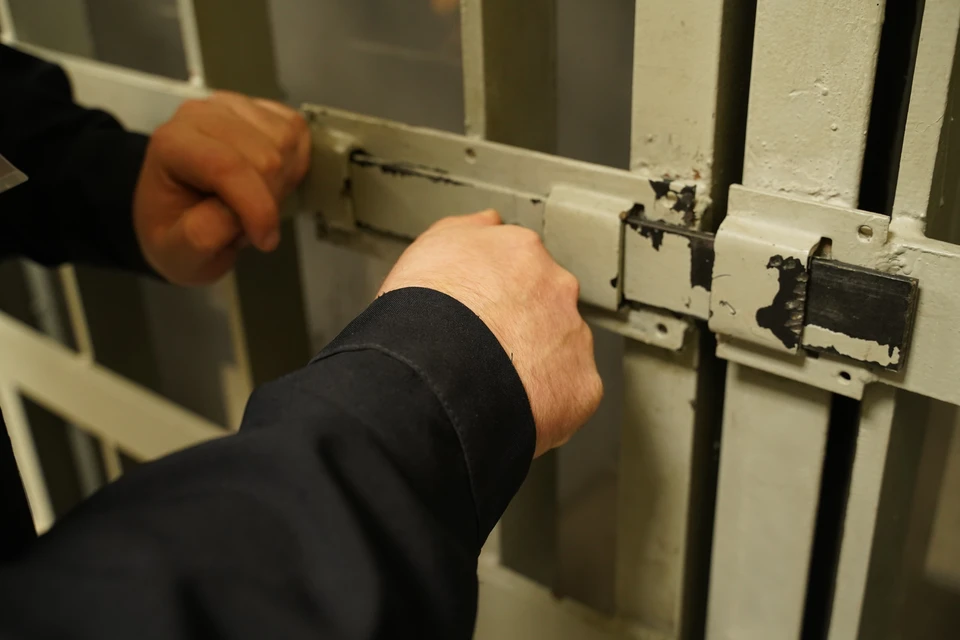 Мужчина проведет в исправительной колонии более семи лет.