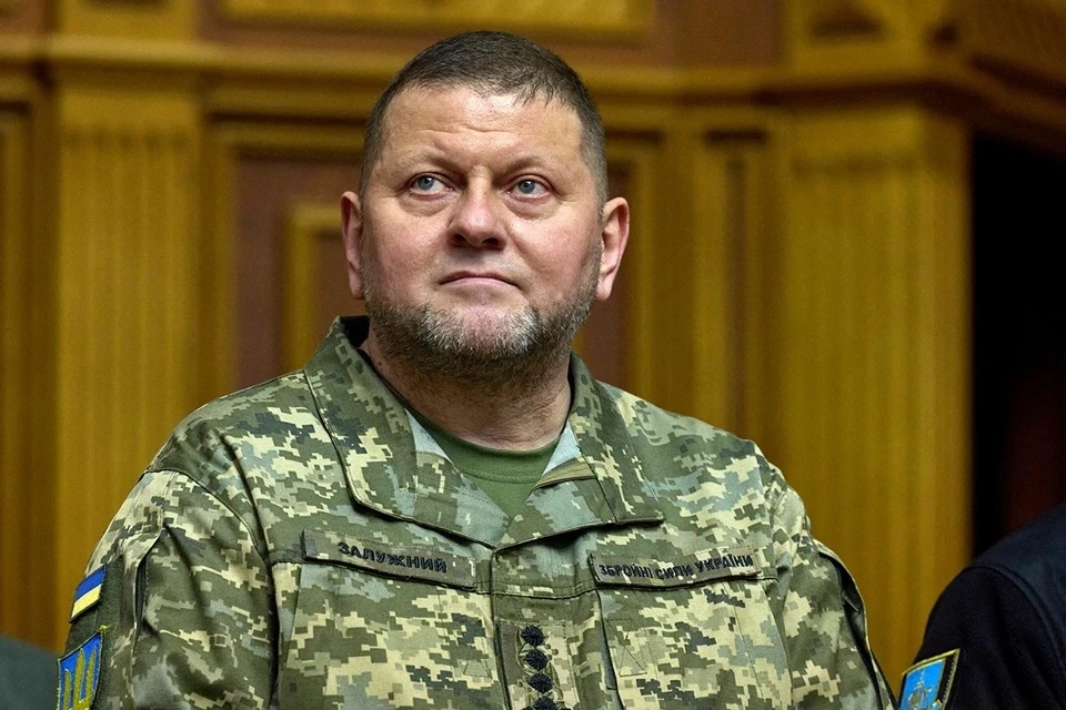 Главнокомандующий ВСУ Валерий Залужный объявлен в розыск МВД России