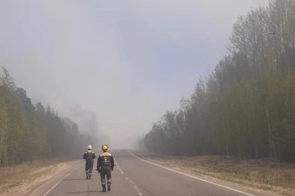 Фото: УГИБДД России по ХМАО-Югре