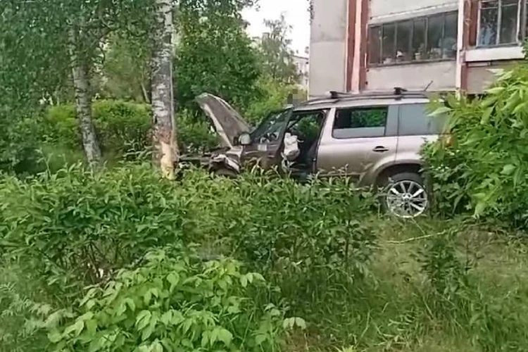 Потеряв сознание, житель Дзержинска врезался в дерево: Водитель погиб, ребенок-пассажир пострадал