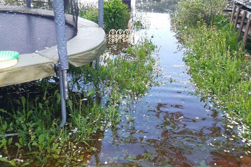 Грунтовыми водами затопило 16 участков Фото: ТИА