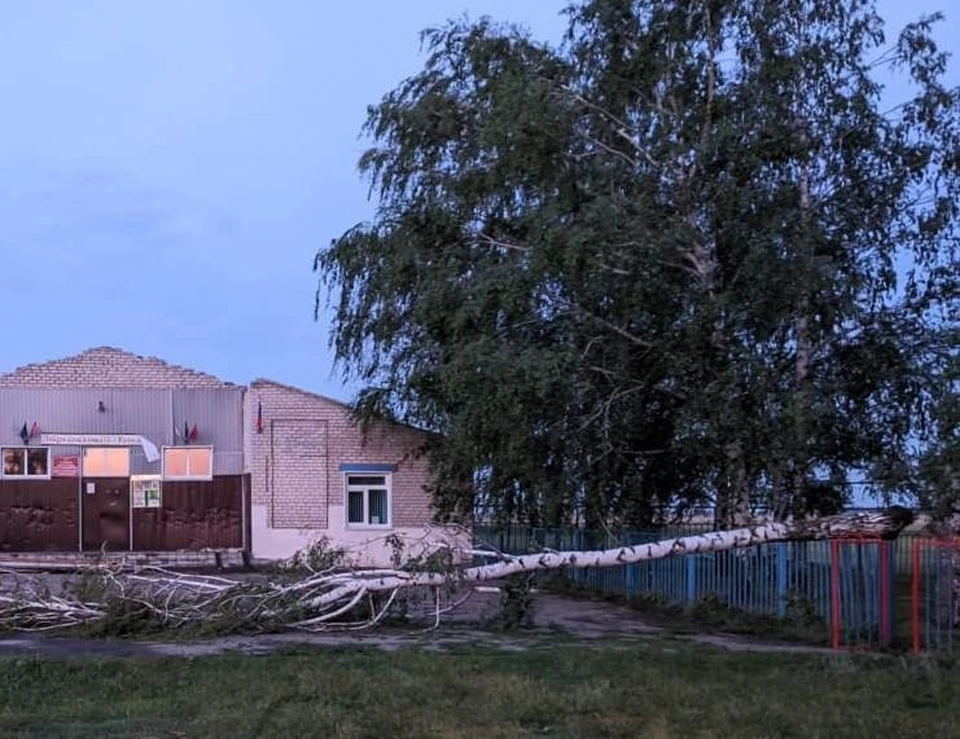 ФОТО: личная страница в ВК Александра Черепана