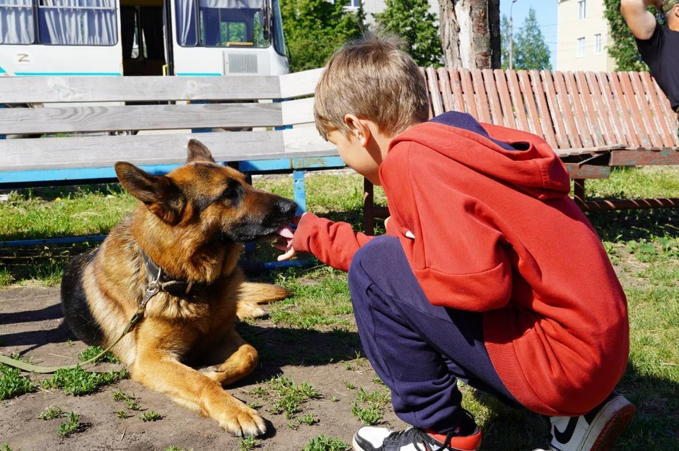 ФОТО: Предоставлено "КП-Ульяновск"