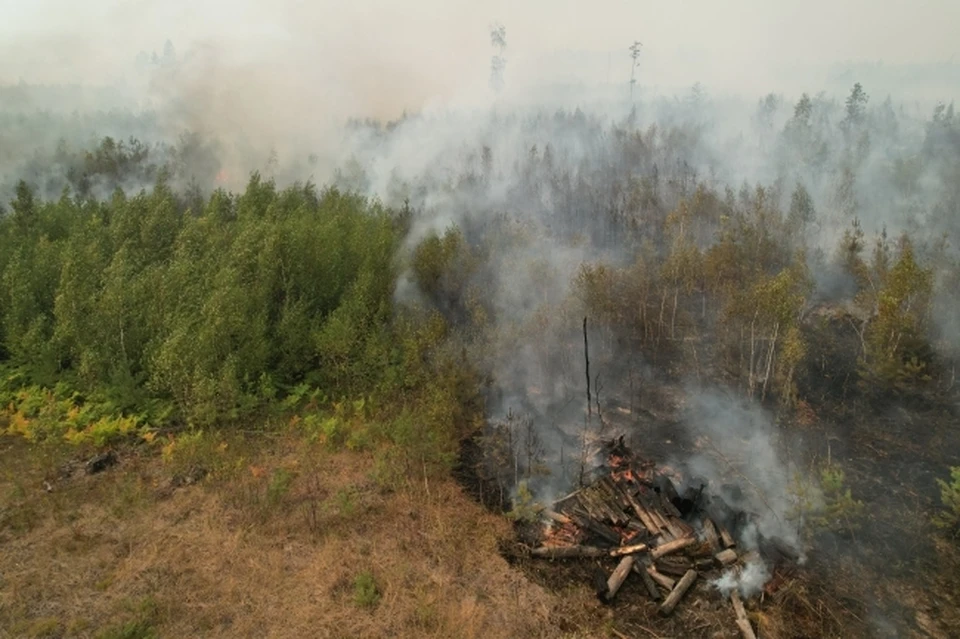 Чрезвычайный класс пожароопасности ожидается в Нижегородской области с 3 по 5 июня