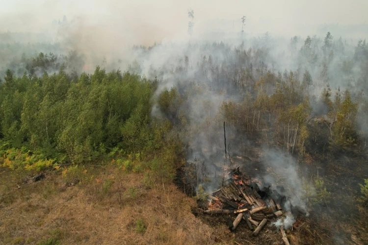 На территории Томской области действует два лесных пожара