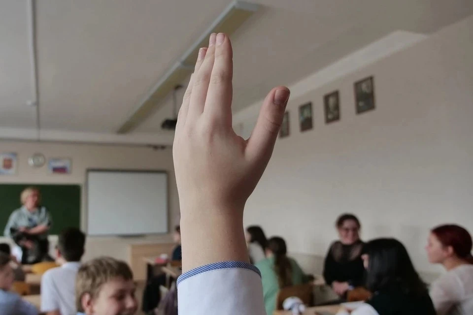 В Новосибирской гимназии, где бастовали третьеклассники, уволился уже второй директор.