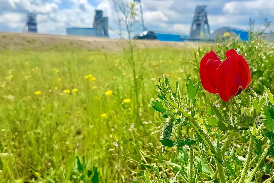 Фото: Ирина СИМОНОВА