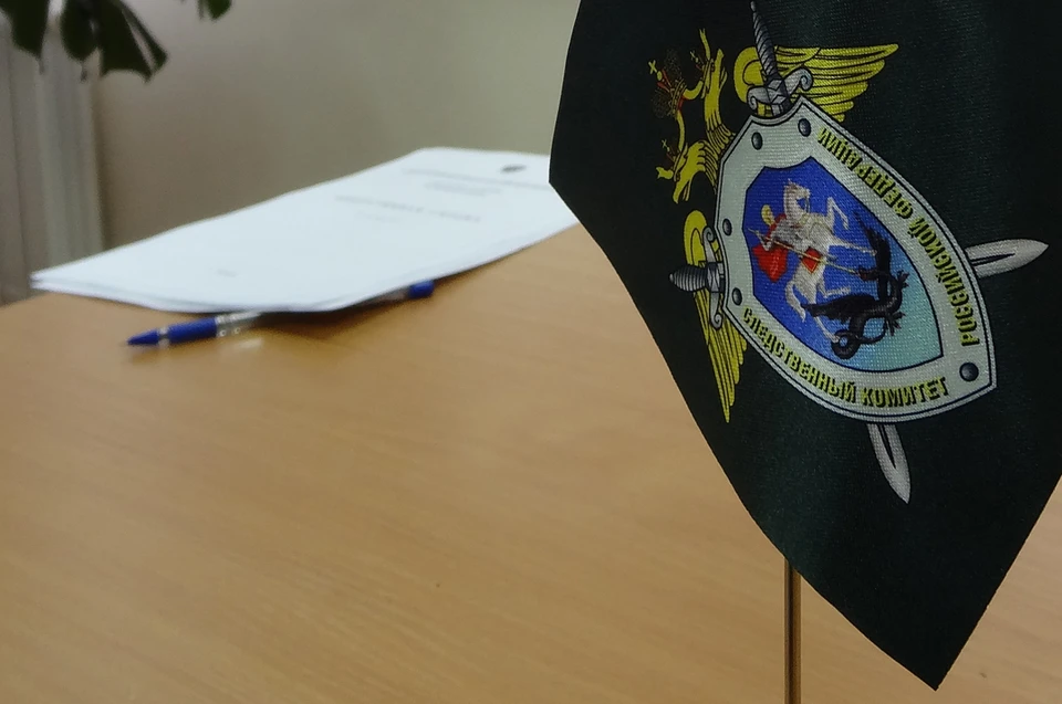 Глава СКР заинтересовался случаем о нападении собаки на школьницу