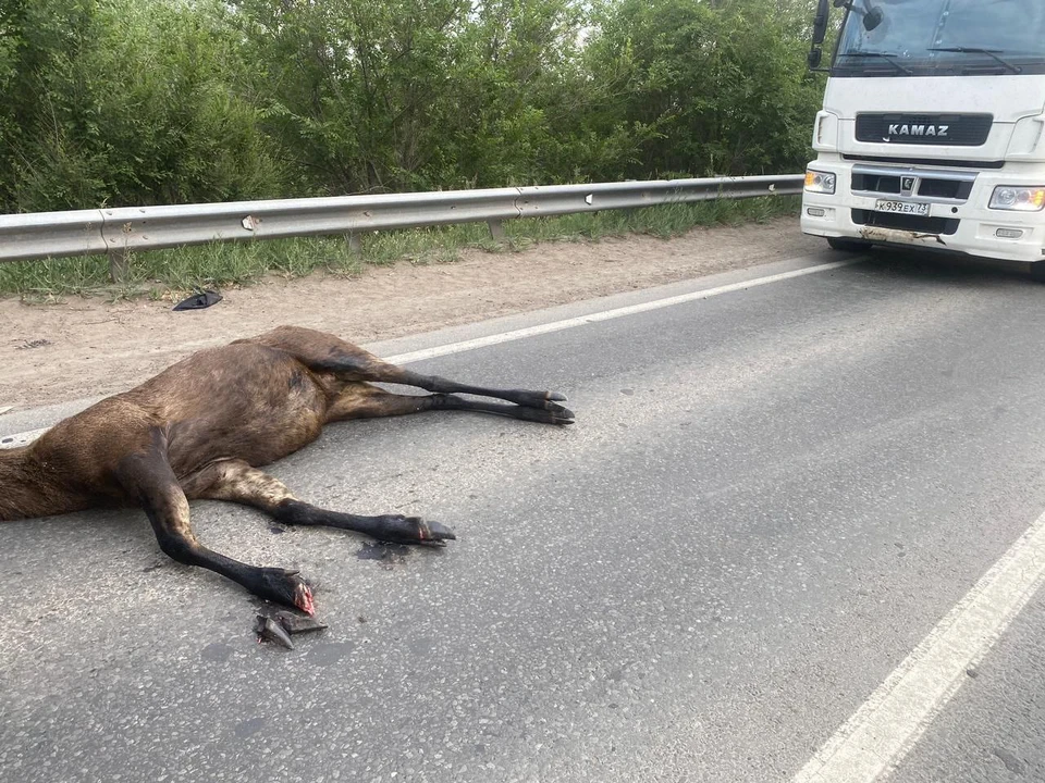 Очевидцы сообщали, что из-за ДТП образовалась пробка