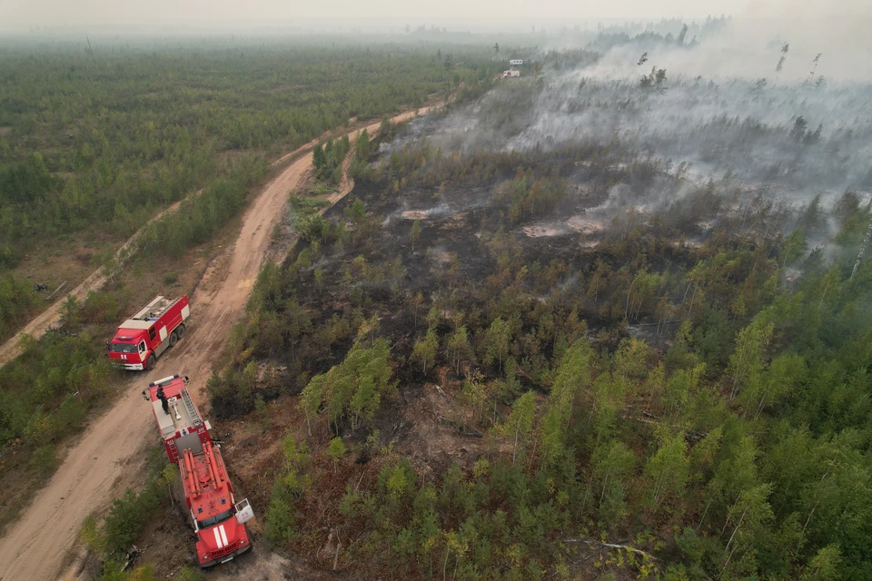 Лесные пожары в Томской области тушат почти 600 человек