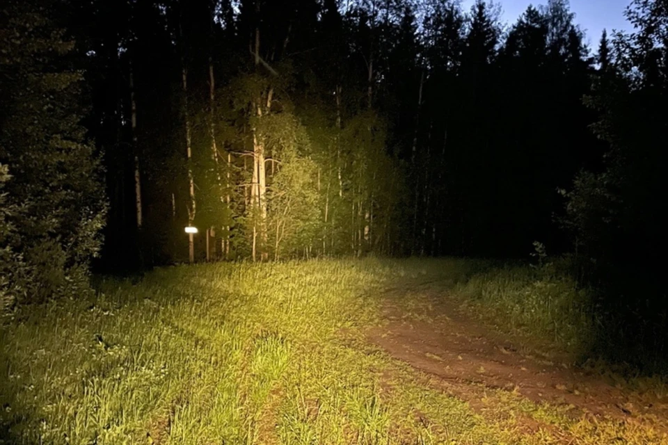 На поиски женщины ночью отправились несколько экипажей. Фото: vk.com/lizaalert_kirov