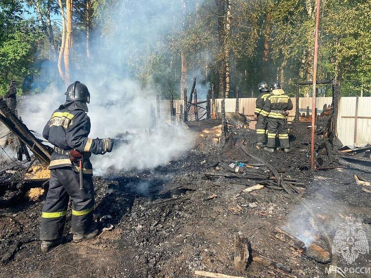 В Новосибирске при пожаре в дачном доме погиб 12-летний мальчик - KP.RU