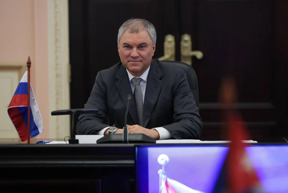 фото: Официальный телеграм-канал Вячеслава Володина