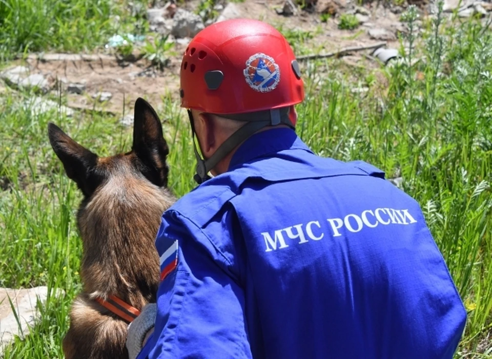 Контроль за исполнением документа возложили на главное управление МЧС России по республике Татарстан